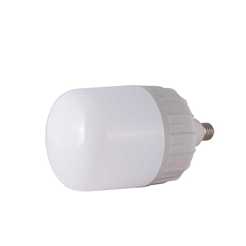 Bóng đèn BULB trụ nhôm đúc Rạng Đông TR100NĐ1 40W 2 Led tr120n1 40w 2
