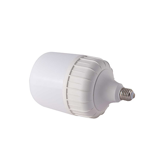 Bóng đèn BULB trụ nhôm đúc Rạng Đông TR100NĐ1 40W 3 Led tr120n1 40w 3
