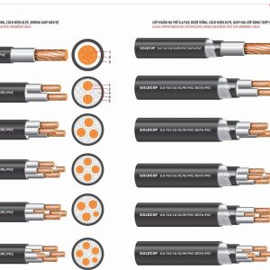 Cáp ngầm điều khiển sợi đơn 0.6/1kV - CU/XLPE/PVC/DSTA/PVC GoldCup GC CEVV-ST 9X1R5-0.6-X 3 2 Power Copper Cables