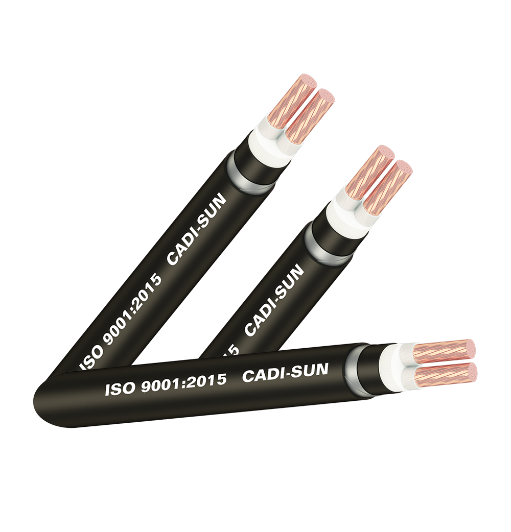Cáp đồng ngầm 2 ruột cách điện XLPE vỏ PVC Cadisun CS DSTA 2x16 1 Dsta 2x