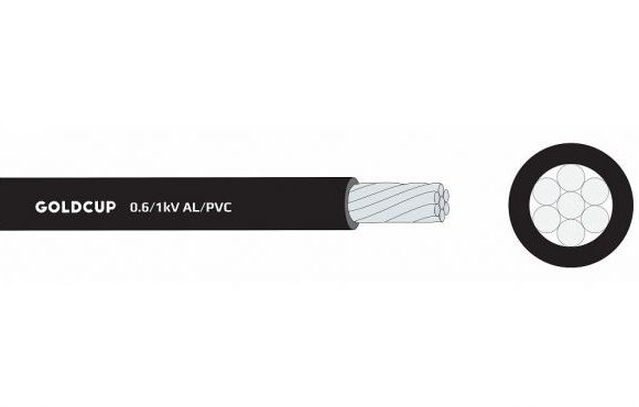 Cáp nhôm đơn bọc các điện PVC 0.6/1kV - AL/PVC Goldcup GC AV 185R2-0.6-X 1 P56 580x370