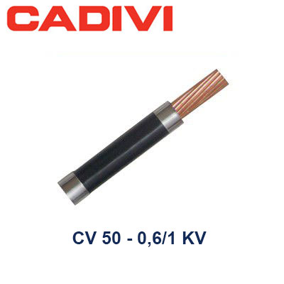 Dây điện đơn CU/PVC 0,6/1kV Cadivi CV-50 1 Cadivi Cv 50
