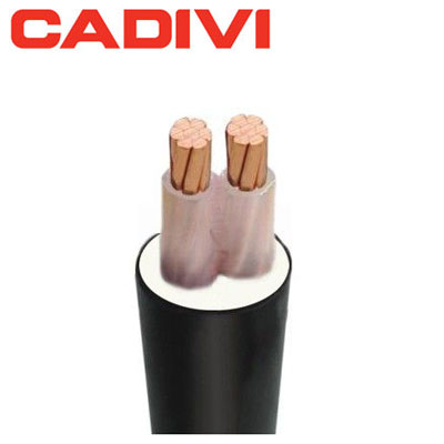 Cáp điện lực hạ thế 2 lõi ruột nhôm cách điện XLPE 0.6/1kV CADIVI CV AXV 2x300 1 Cadivi Cxv 2x1