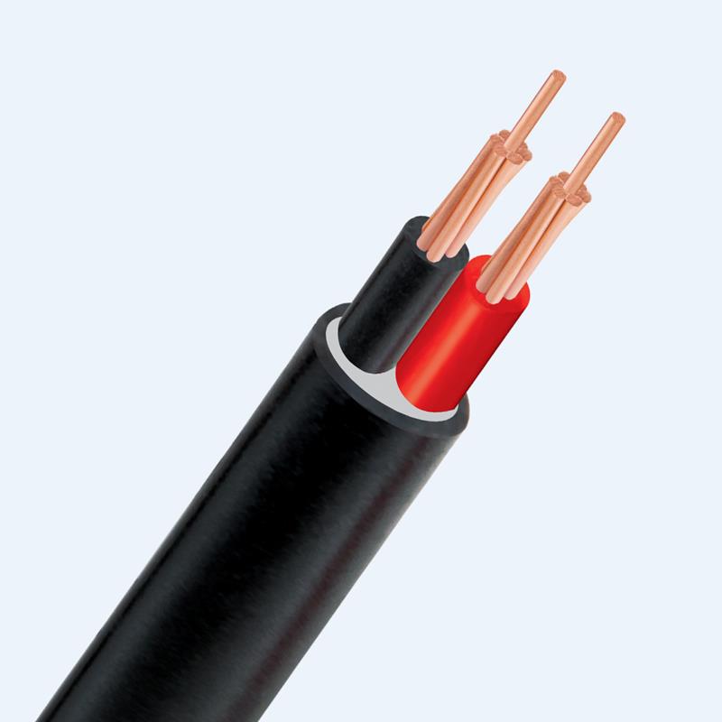 Cáp điện hạ thế 2 lõi ruột đồng PVC 0.6/1kV CADIVI CV CVV-2x35 1 Cvv 2 Loi