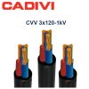 Cvv 3x120