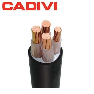 Cáp điện lực hạ thế 3 lõi pha + 1 lõi đất 0.6/1kV CADIVI CV CXV-3x10+1x6 1 Cáp điện Cxv