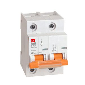 Aptomat Bkh 2p 80a