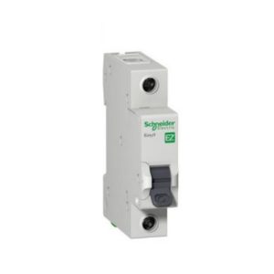 Aptomat Schneider Ez9f34110