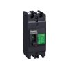 Aptomat Schneider Ezc100h2060
