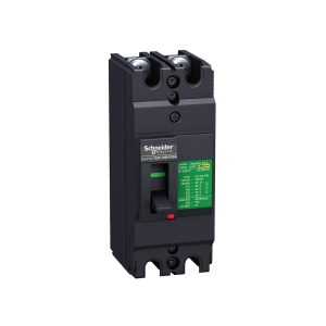 Aptomat Schneider Ezc100h2100