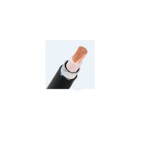 Cáp Ls Vina Cu Xlpe Pvc Data Pvc Data 1x185