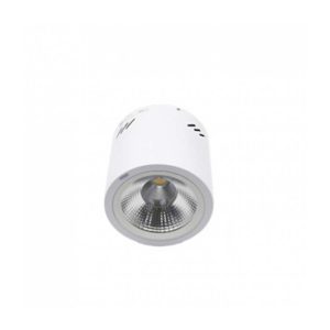 Đèn Led ốp Trần 10w Paragon Psdoo132l10