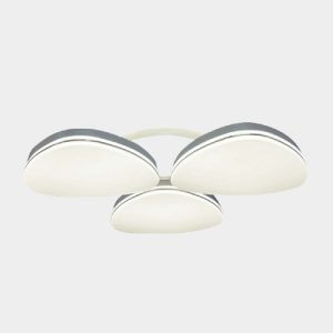 Đèn Led ốp Trần 36w Điện Quang Đq Ledccl17 36 S