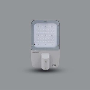 Den Duong Paragon 100w Pstm100l