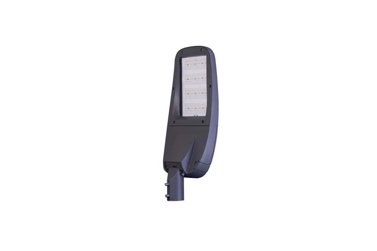 Đèn đường Rạng Đông CSD06 100W