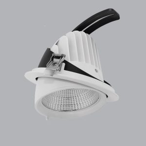 Đèn Downlight điều chỉnh 20W vàng MPE DLA 20V