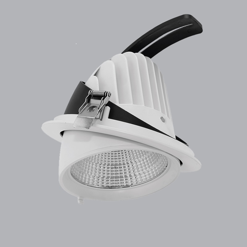 Đèn Downlight điều chỉnh 20W vàng MPE DLA 20V 1 Đèn Downlight điều chỉnh 20W vàng MPE DLA 20V