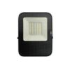 Đèn pha Led NLFV 30W trắng Nanoco NLFV0306