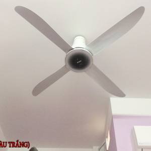 Quạt trần Mitsubishi C56-RA4 7 Quạt trần Mitsubishi C56-RA4