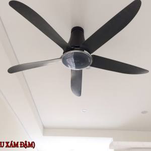 Quạt trần Mitsubishi C56-RA5 8 Quạt trần Mitsubishi C56-RA5