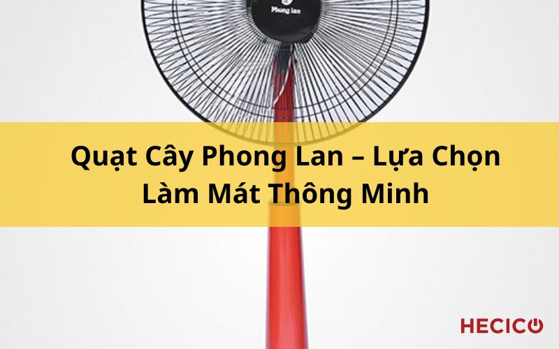 Quạt Cây Phong Lan – Lựa Chọn Làm Mát Thông Minh 1 Quạt Cây Phong Lan – Lựa Chọn Làm Mát Thông Minh