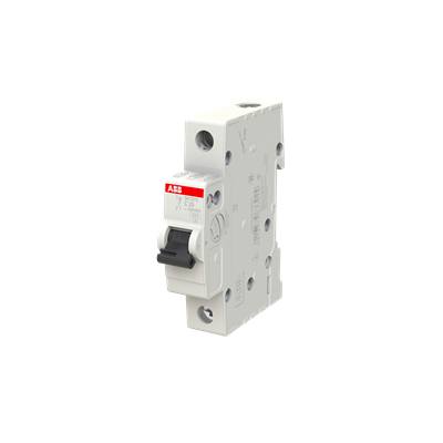 Cầu Dao Tự Động 1P 20A 4.5kA (SH201L-C20) ABB 2CDS241001R0204 2 Cầu Dao Tự Động 1P 20A 4.5kA (SH201L-C20) ABB 2CDS241001R0204 - Ảnh 2